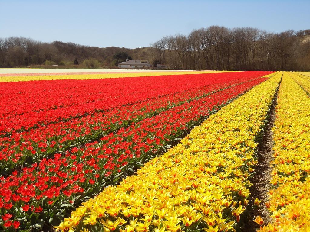 Bed&Breakfast Alkmaar Onder De Watertoren ภายนอก รูปภาพ